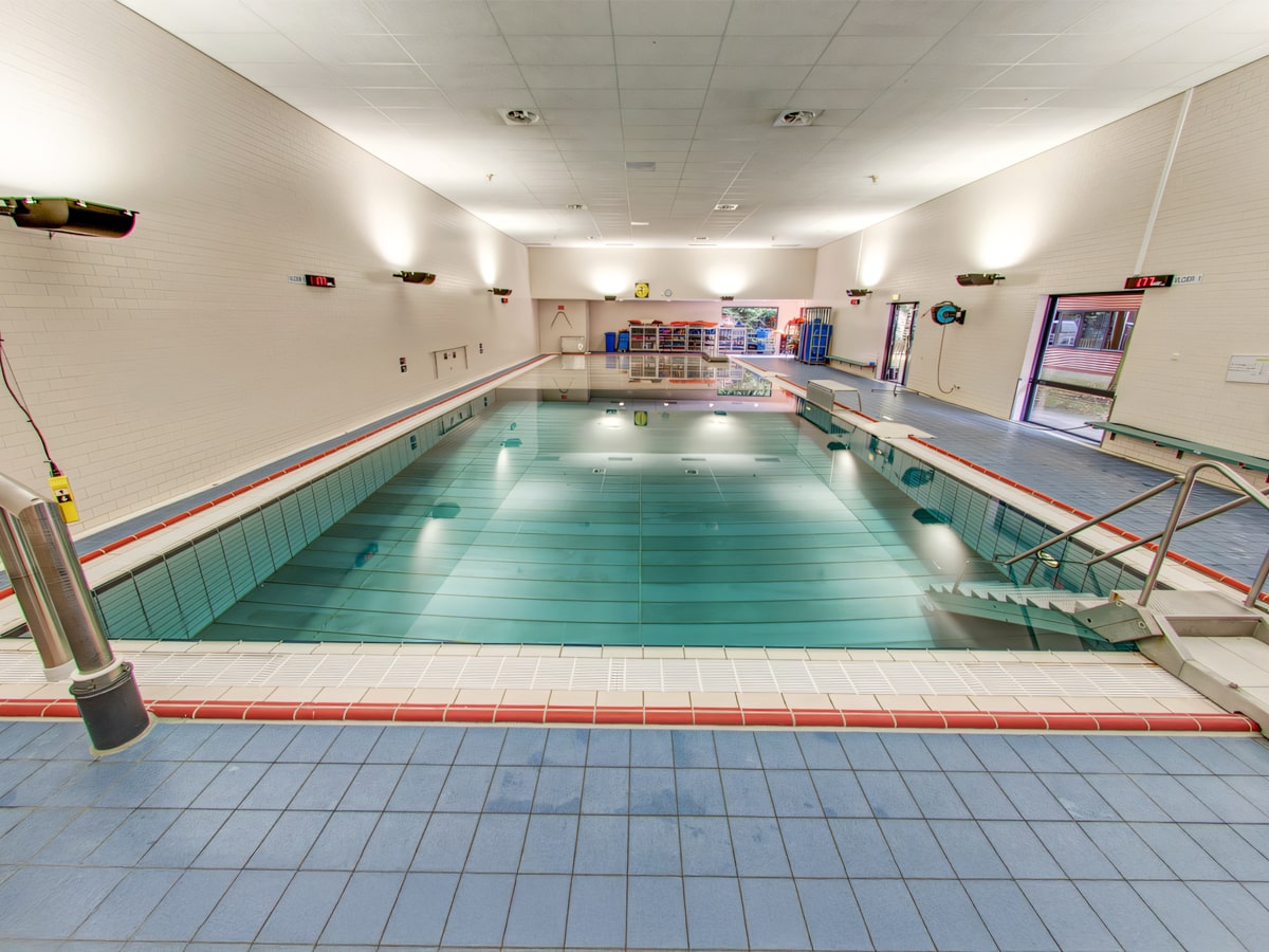 Adult Swim Coach Leiden